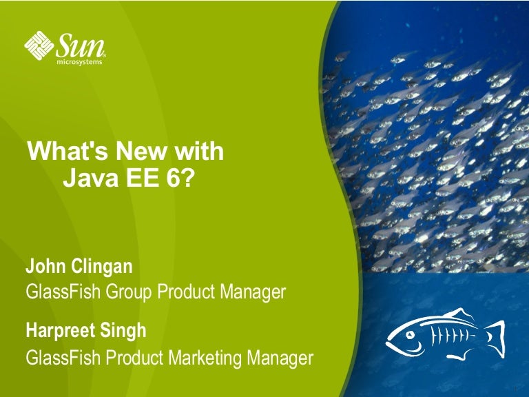 Sun Java EE 6 Overview
