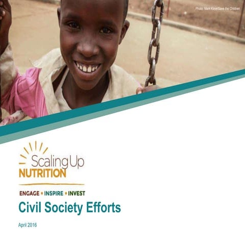 SUN Civil Society Achievements and Value Add