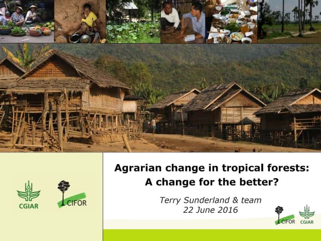 Agrarian change in tropical forests:  A change for the better?
