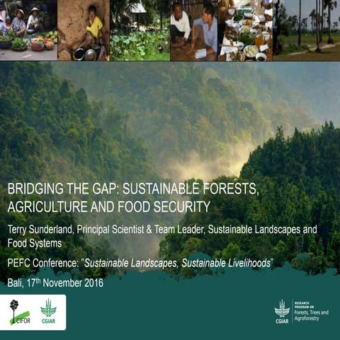 Bridging the gap: sustainable forests, agriculture and food security