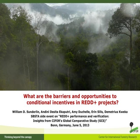 Challenges and Barriers to redd++ with Recommendations | PPTX