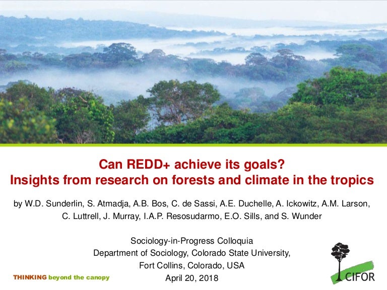 thumbnail of  Can REDD+ achieve its goals? Insights from research on forests and climate in the tropics