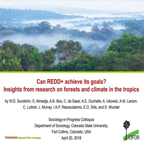 Can REDD+ achieve its goals? Insights from research on forests and climate in...