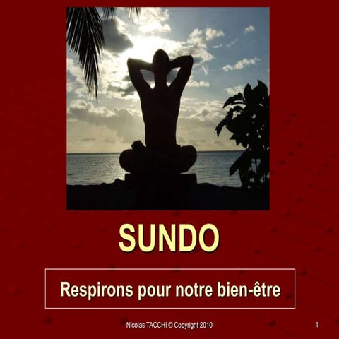 Sundo pour les métiers du spectacle | PPSX