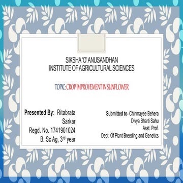 Breeding Techniques of Sunflower