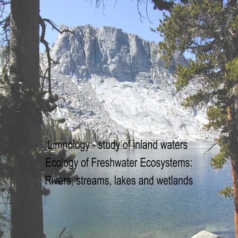 Tipe Ekosistem Perairan :  Sungai dan Danau