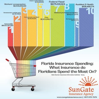 Florida Insurance Spending: What In...