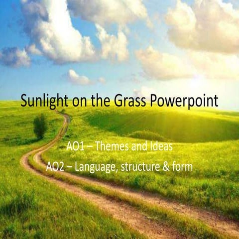 Sunlight on the Grass AO Revision