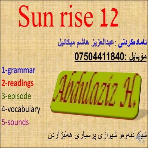 Sunrice 12