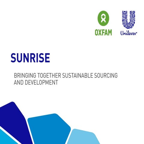 Sunrise: Bringing together sustainable sourcing and development
