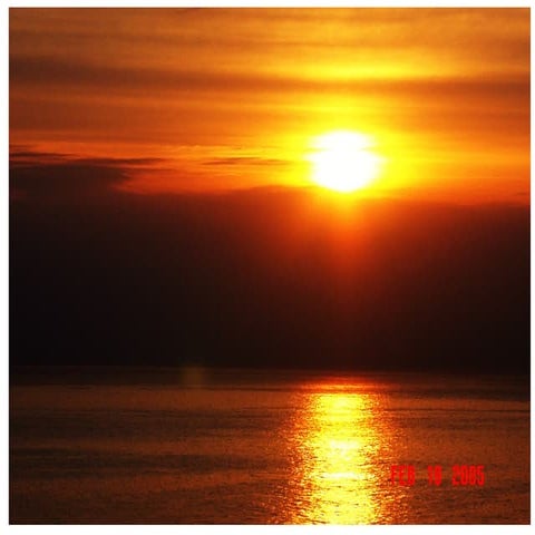 Sunsets, Beauty, Wildlife And More