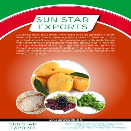 Sun Star Exports Tamil Nadu India