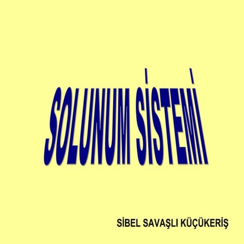SunumSolunumSistemi