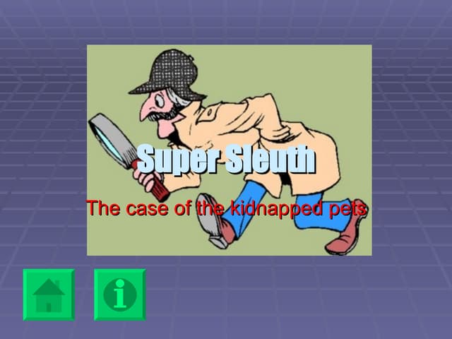 Super Sleuth