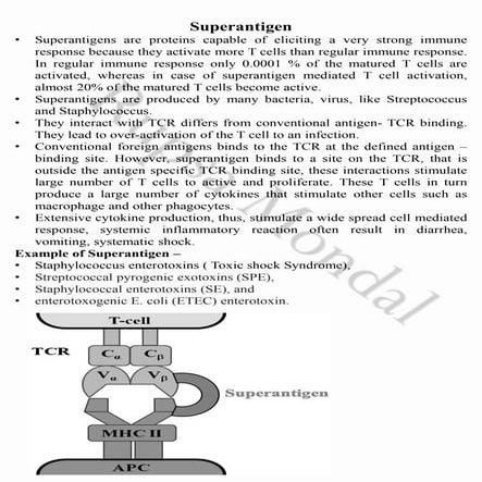 Super Antigen