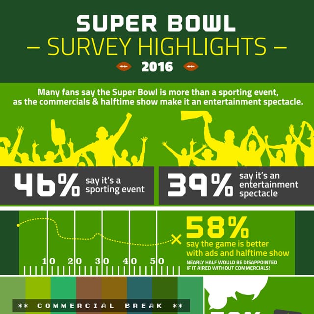 2016 Super Bowl Survey Infographic