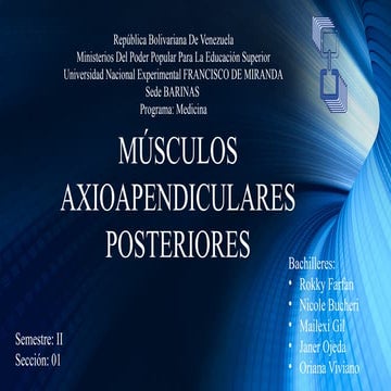 Anatomy and Function of Posterior Axioappendicular Muscles in Medicine ...