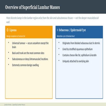 Comprehensive Overview of Superficial Lumbar Masses: Lipomas and Cysts ...
