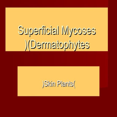 Superficial mycoses