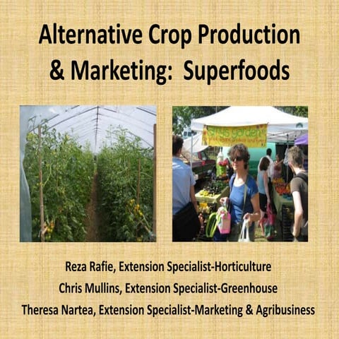 Super Foods - Rafie, Nartea, and Mullins