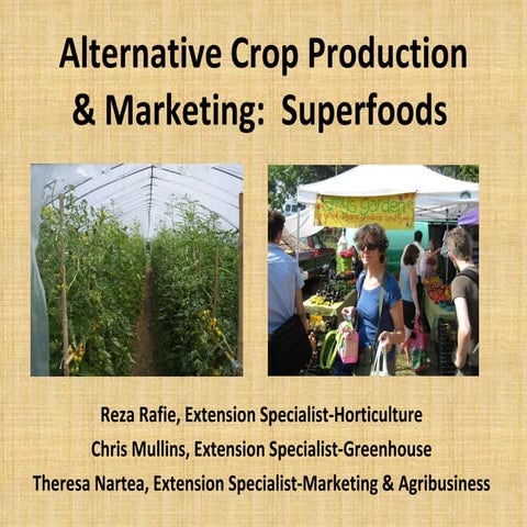 Superfoods - What They Are, How to Market Them