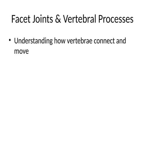 Comprehensive Overview of Facet Joints and Vertebral Processes in ...