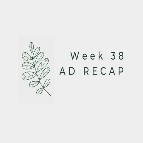 Supermarket Floral Ad Roundup- Week 38 2025.pdf