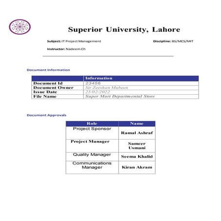 Super Mart Report.docx