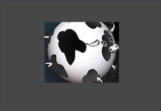 Bonabeau Supernova 2008