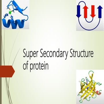 Super secondary structure of protein