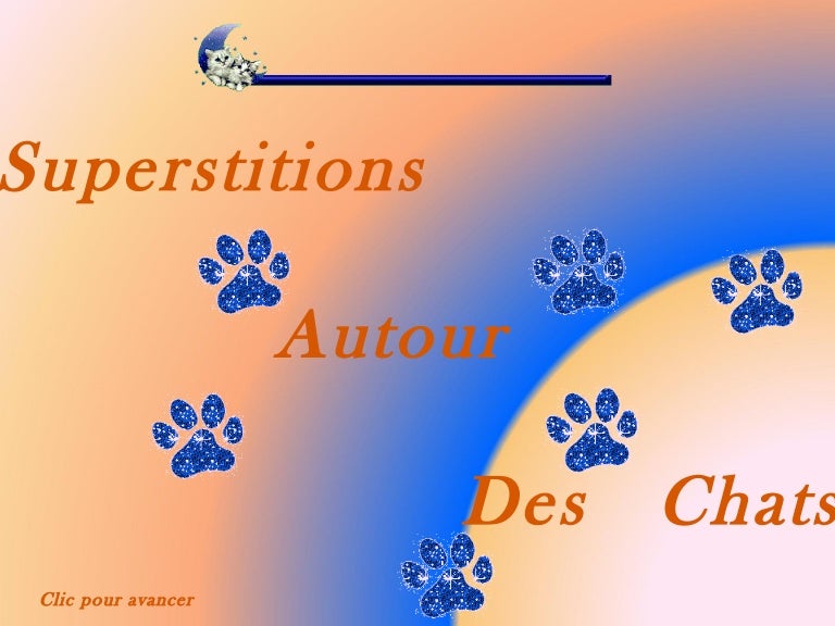 Superstitions Autour Des Chats