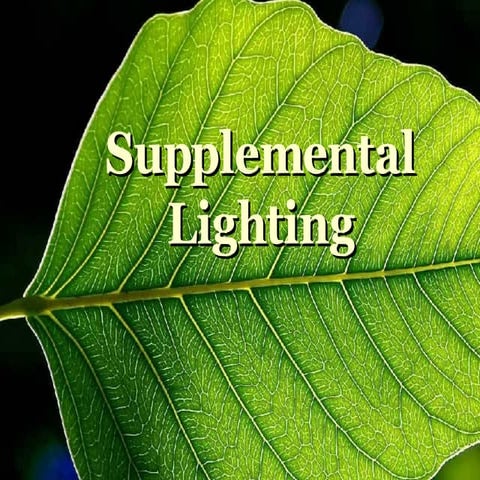 Supplemental Lighting