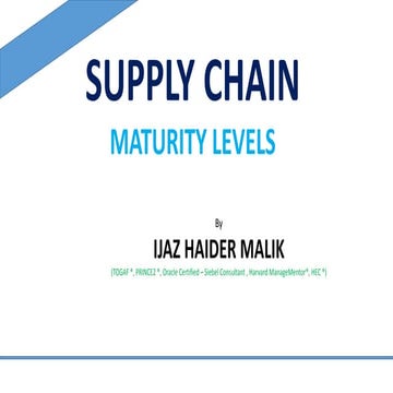 Supply Chain Maturity Levels