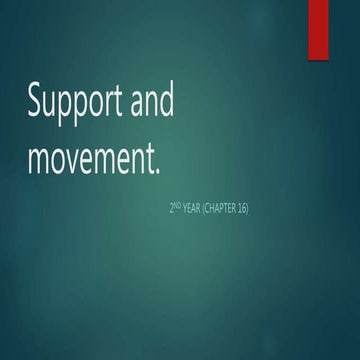 Support and movement (chap 16) part 1