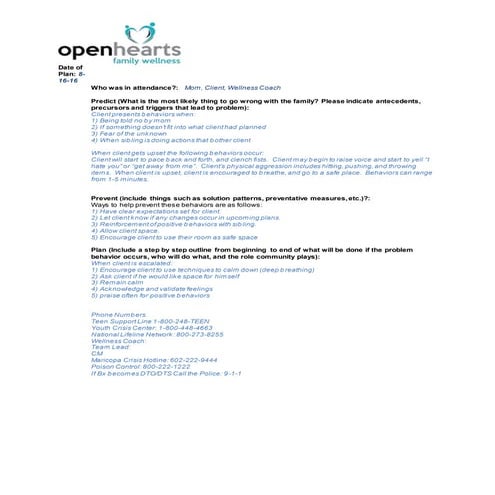 Support Plan Outline