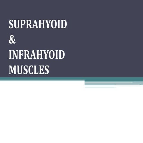 Suprahyoid and infrahyoid muscles