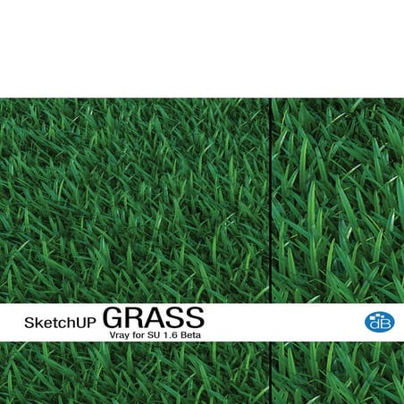 Su proxy grass by David Brufau