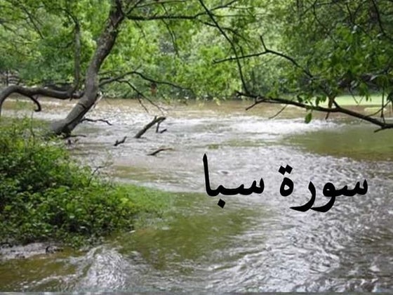 تقویٰ -Taqwa :purpose of fasting (in urdu) | PDF