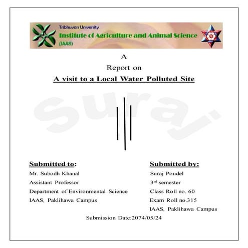 A report on a visit to a local polluted site.