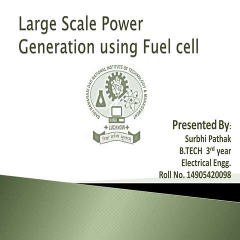 Large scale power generation using fuel cell 