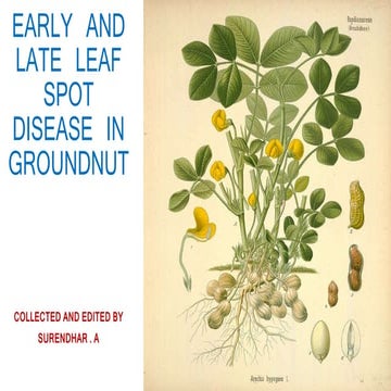 LEAF SPOT DISEASE IN GROUNDNUT