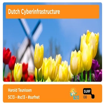 Dutch Cyberinfrastructure