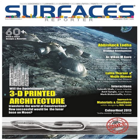 Surface reporter march 2013