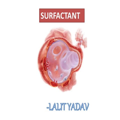 Surfactant (Physiology)