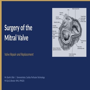 Comprehensive Surgical Techniques for Mitral Valve Repair and ...