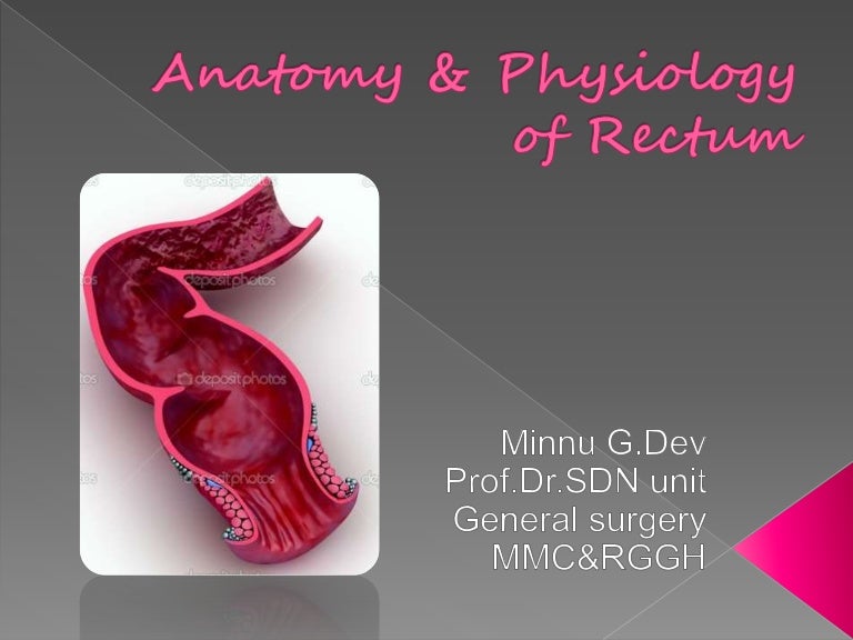 Anatomy&Physiology of Rectum