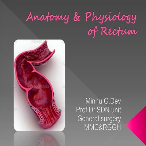Anatomy&Physiology of Rectum | PPTX
