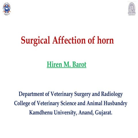 Surgical Affecation of Horn by Dr H M barot .pptx