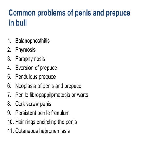 Surgical affection of penis and prepuce | PPTX