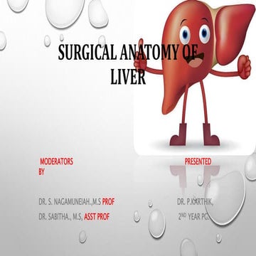 Surgical anatomy of liver